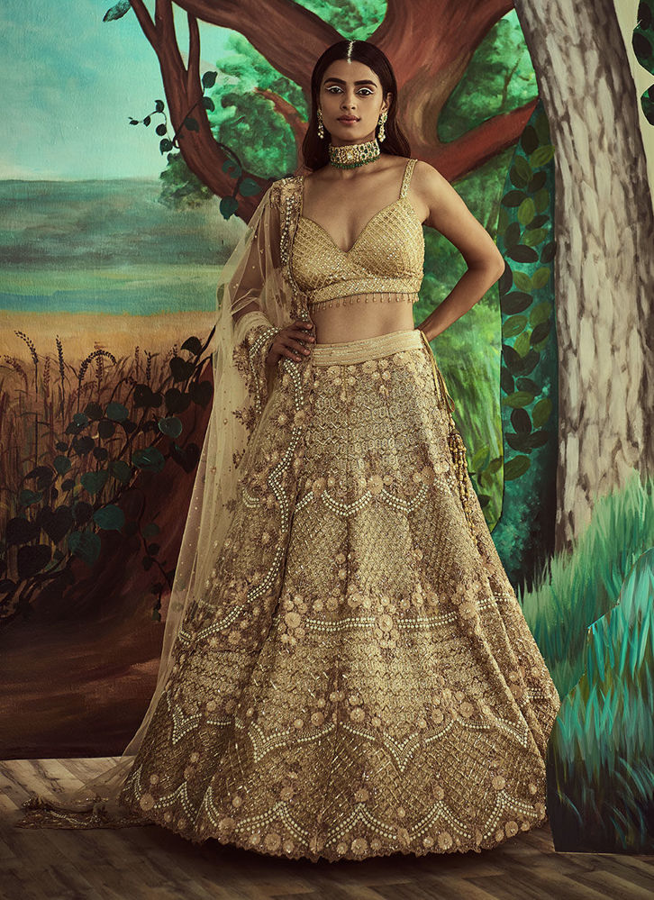 Picture of Gold Trail Lehenga Set