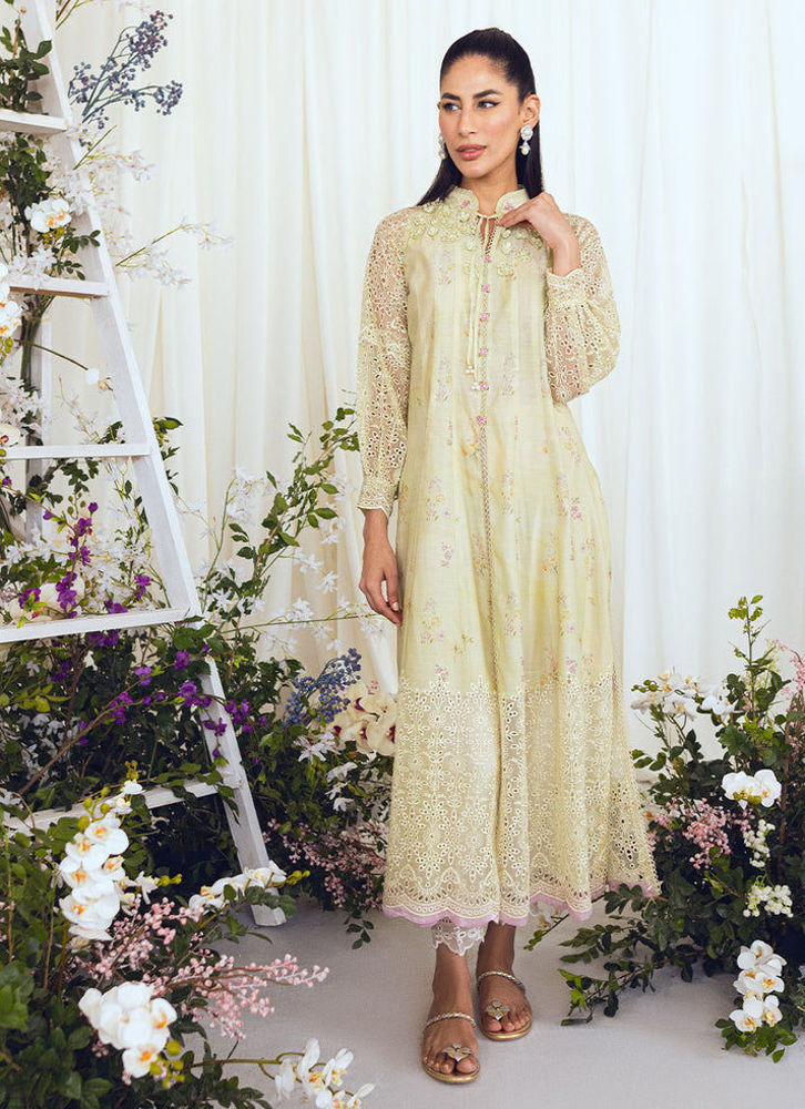 Picture of Lace Kiwi Cutwork Shirt