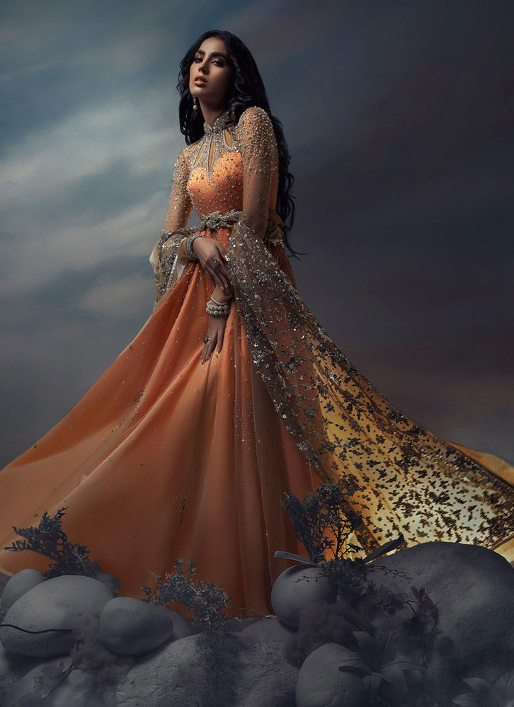 Picture of A Wish Upon the Stars