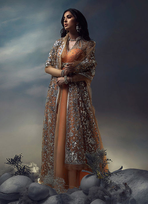 A Wish Upon the Stars