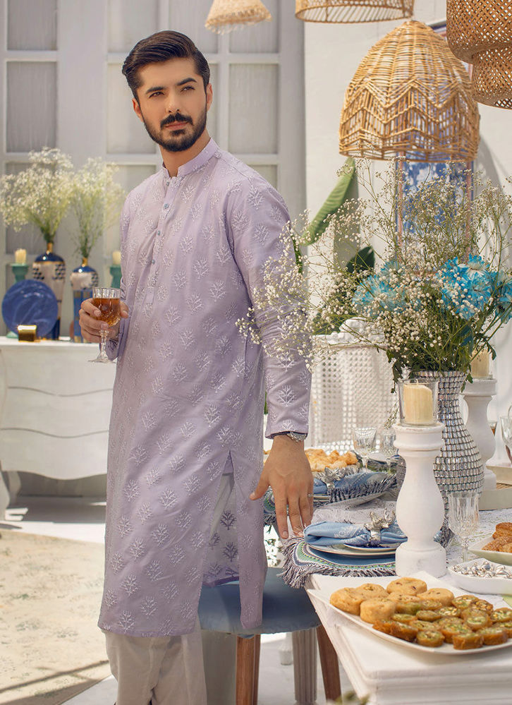 Picture of Aster Daze