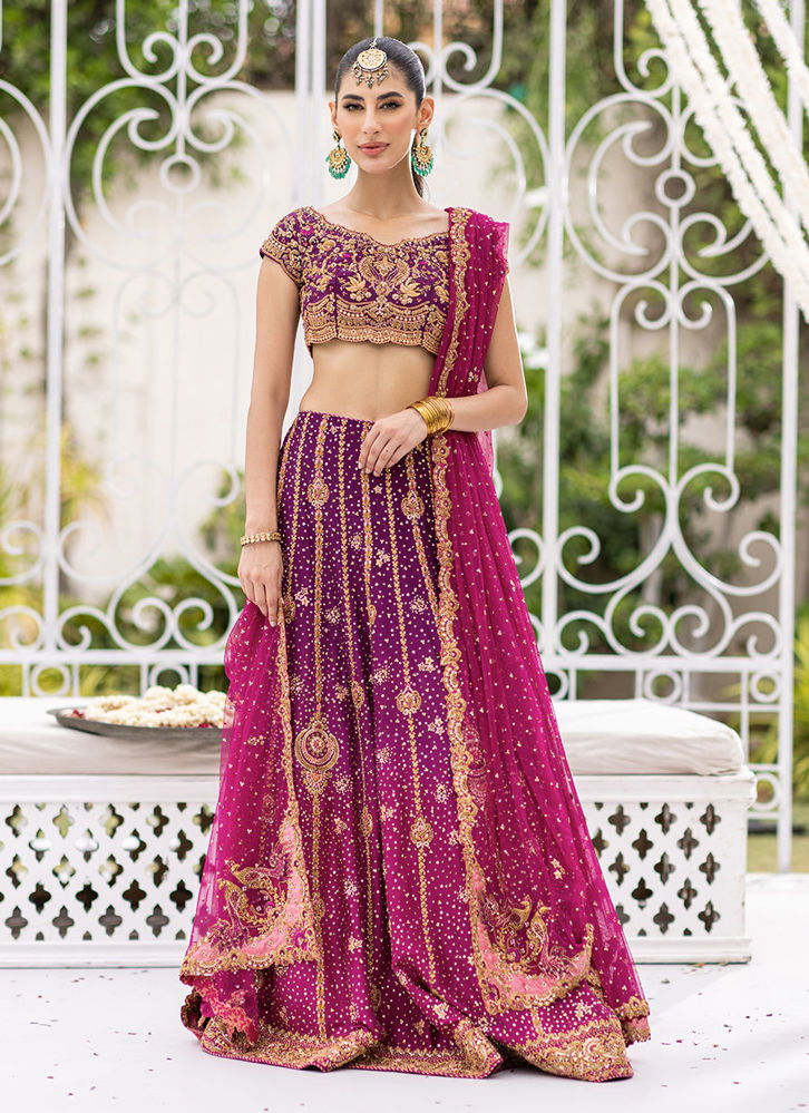 Picture of Shirin Ombre Lehenga Choli