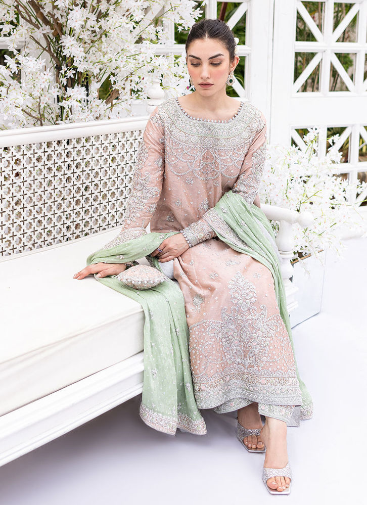 Picture of Pinar Pastel Pink Kurta