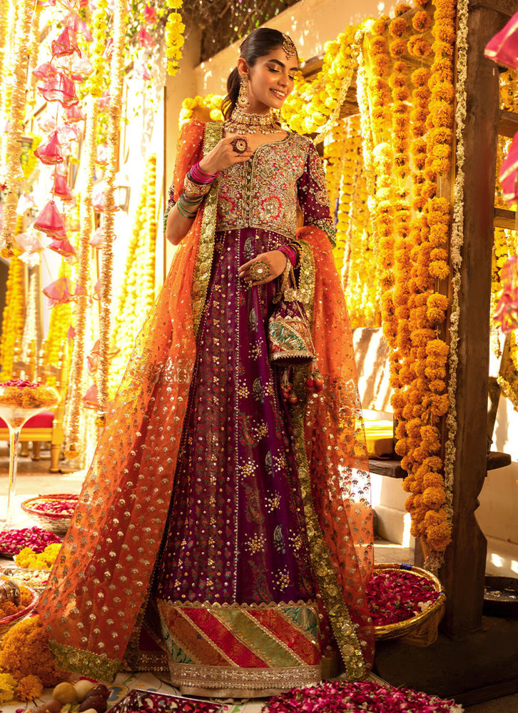 Picture of Konain Kalidar