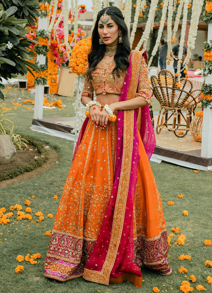 Picture of Beena Lehenga Choli