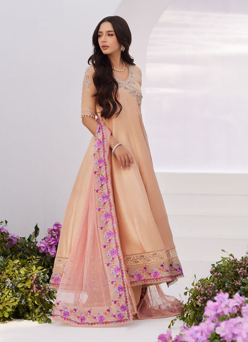 Lisette Fawn Embellished Raw silk Angarkha and Dupatta