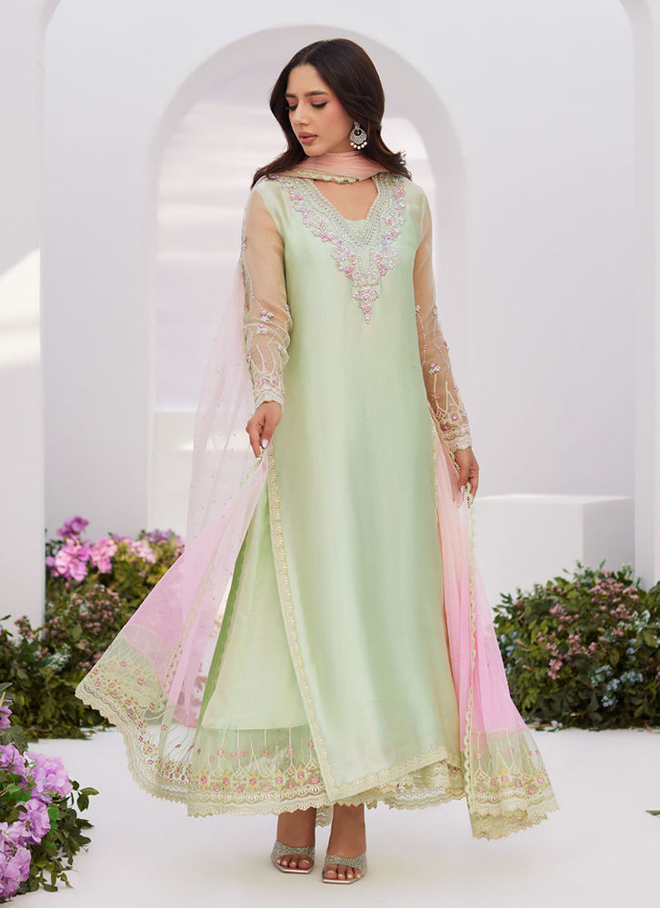 Picture of Collette mint ombre embellished column shirt with kalidaar with embroidered slip