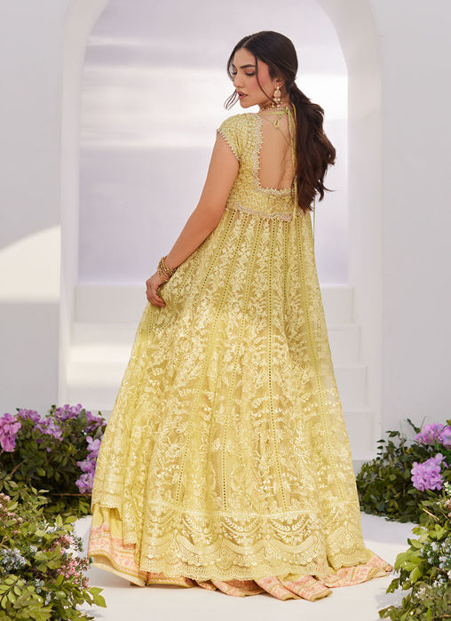 Reine Kiwi Embroidered and Embellished Kalidaar