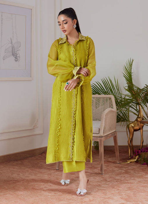 Faustine Kiwi Embroidered Raw Silk Shirt