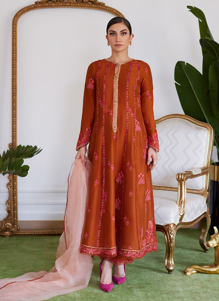 Picture of Seneera Embroidered Rust Raw Silk Kalidaar With Dupatta