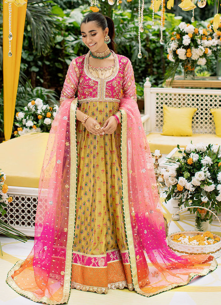 Picture of Novera kalidar