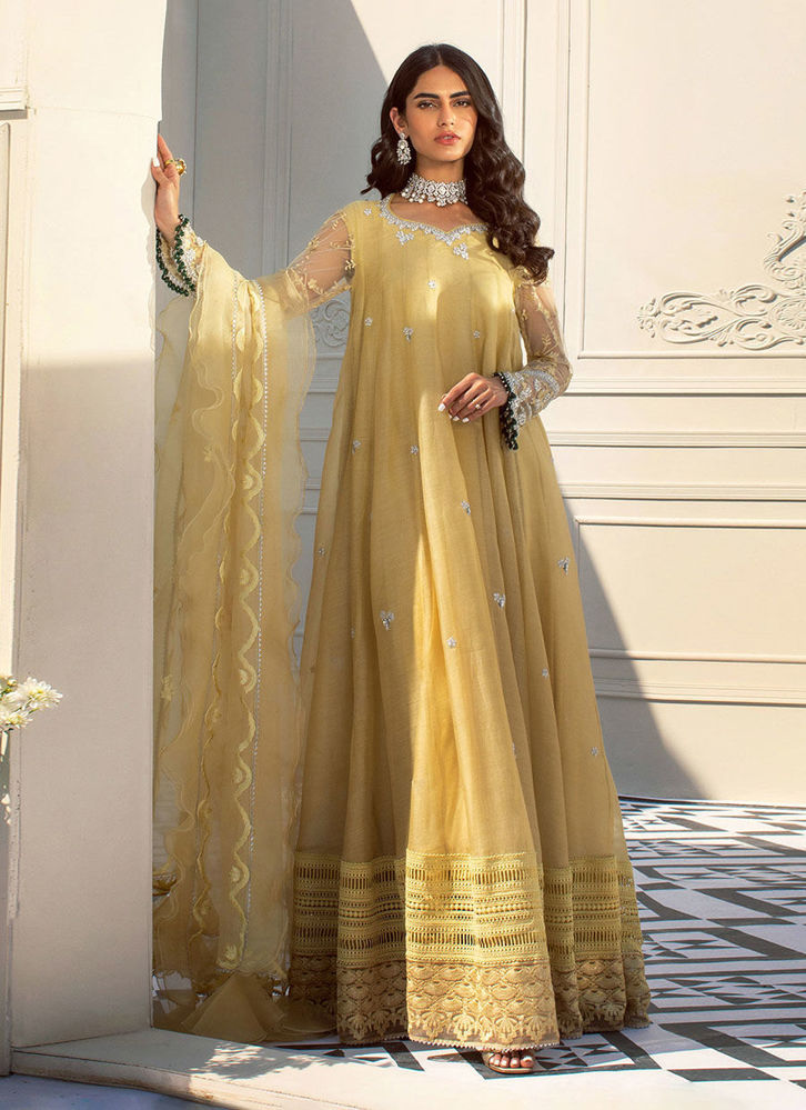 Picture of Anaya Kalidar