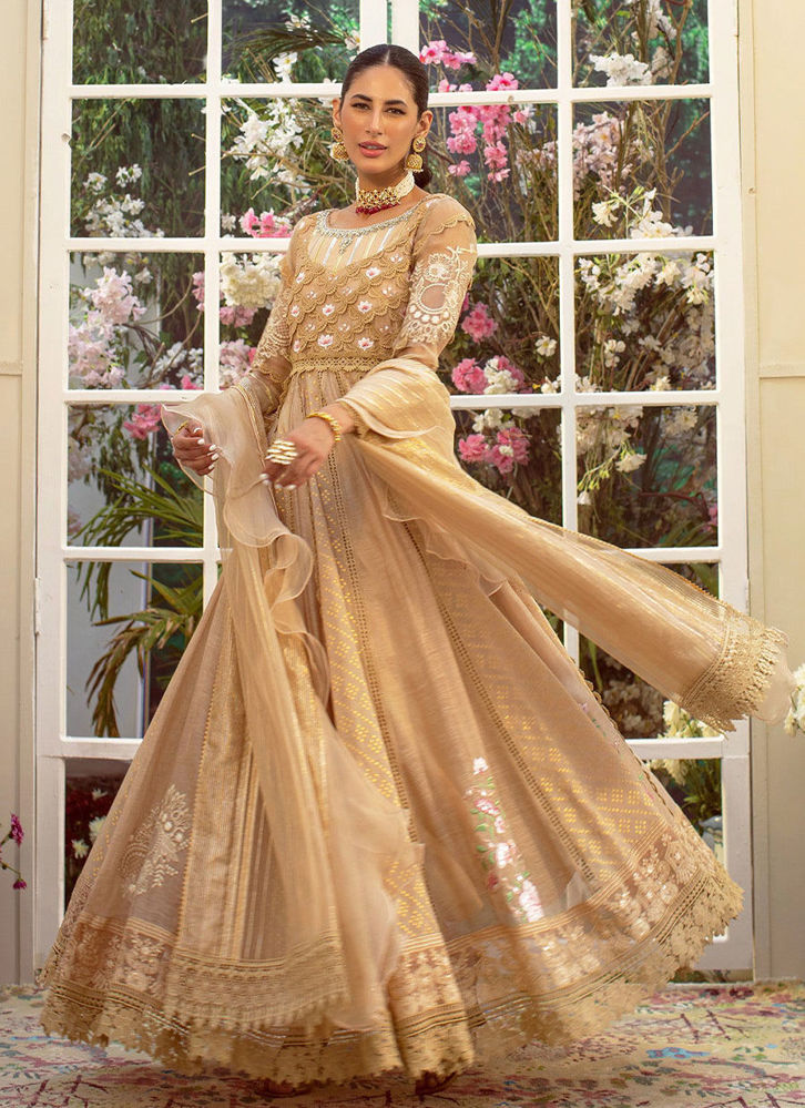 Picture of Prisha Kalidar