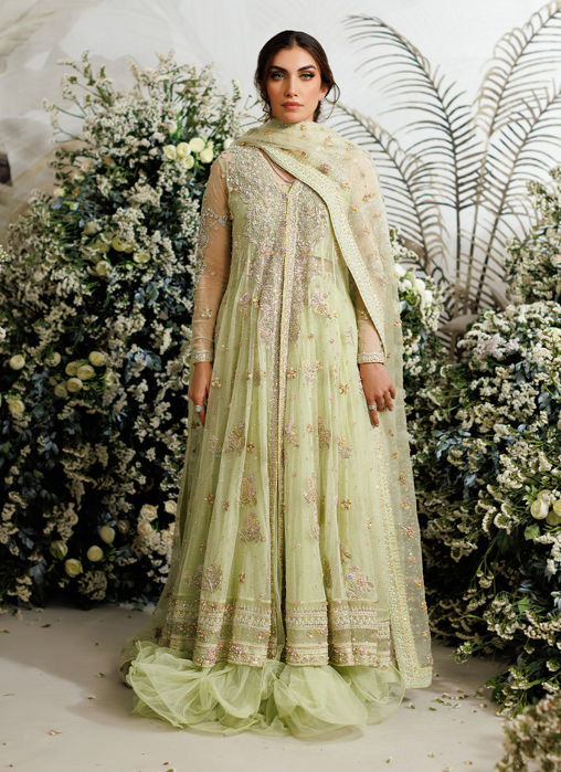 Eliza Kiwi Tulle Kalidaar