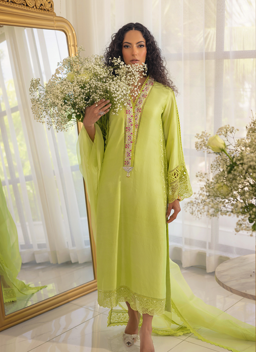 Rayla Kiwi Green - Shirt and Pants