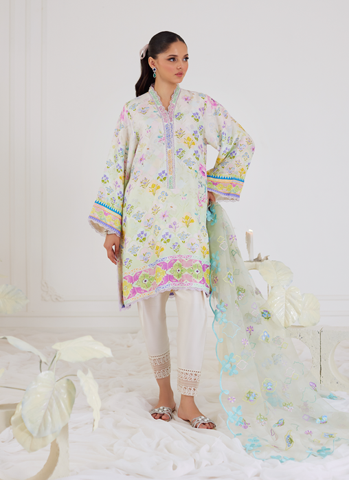 Belen Shirt & Dupatta