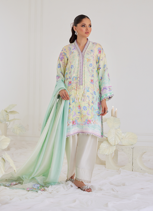Paz Aqua Shirt & Dupatta