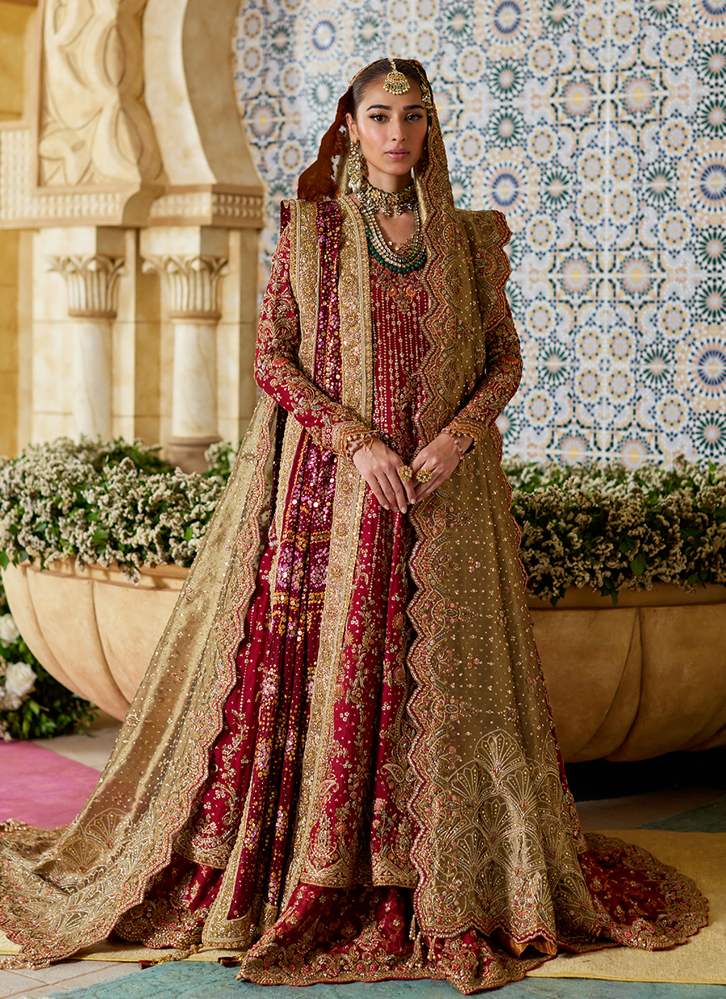 Picture of Zemira Crimson Farshi Lehenga