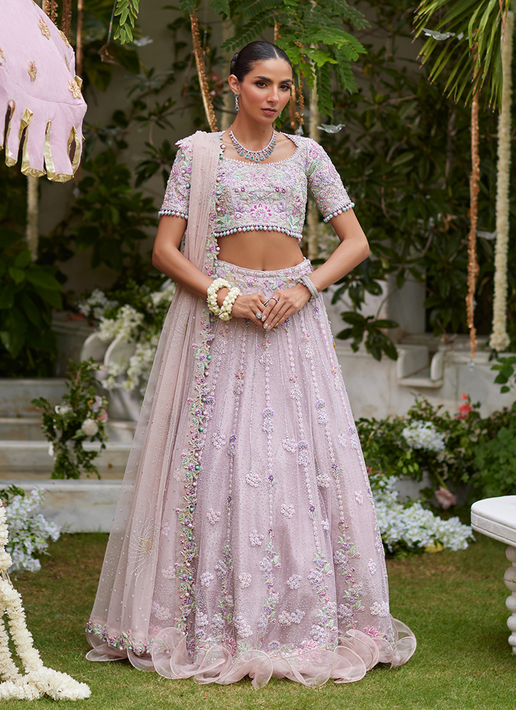 Picture of Gisel Powder Pink Lehenga Choli