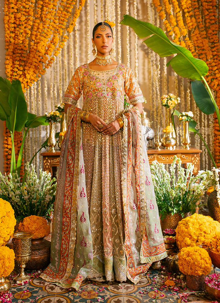 Picture of Rozmina Kalidar