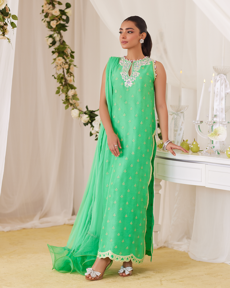 Picture of Toucan Shirt And Dupatta