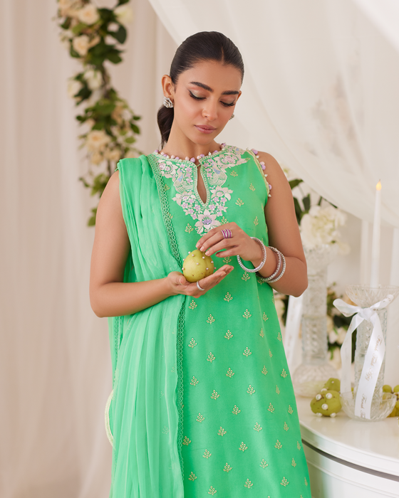 Toucan Shirt And Dupatta