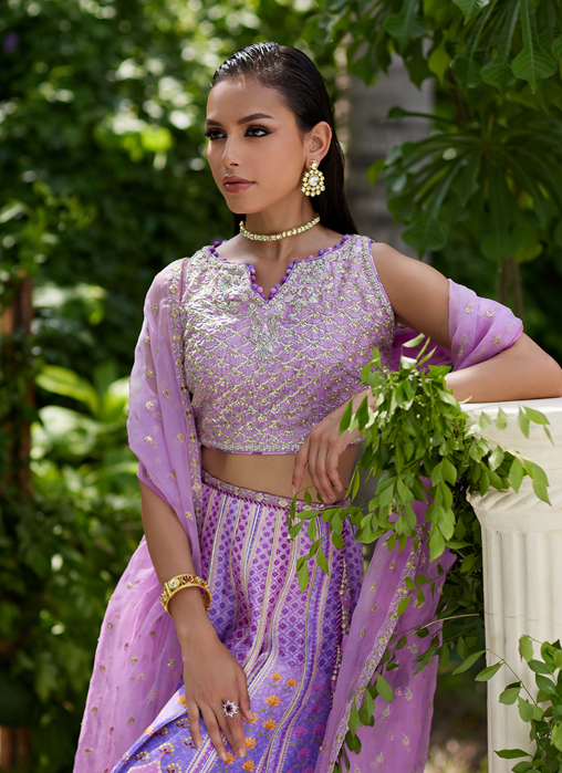 Ferazia Embellished Lehenga Choli