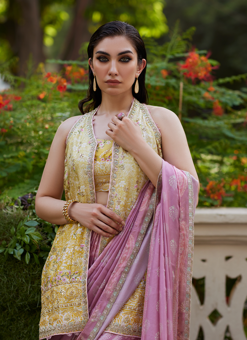 Iqala Saree, Blouse And Jacket