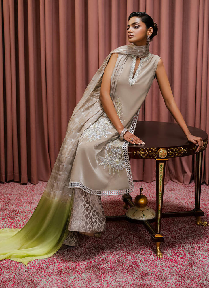 Picture of Succulent