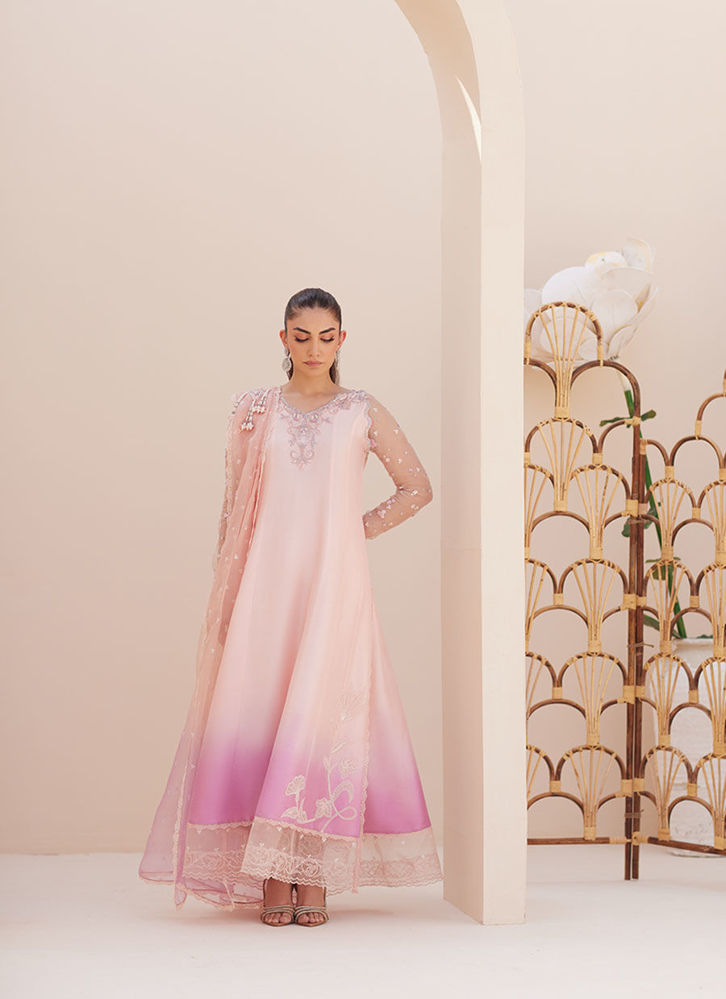 Picture of Deedee Pink Ombre Paneled Shirt and Dupatta