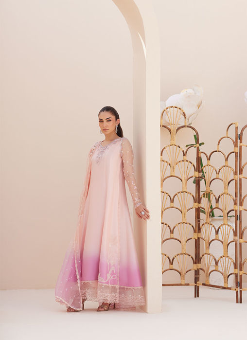 Deedee Pink Ombre Paneled Shirt and Dupatta