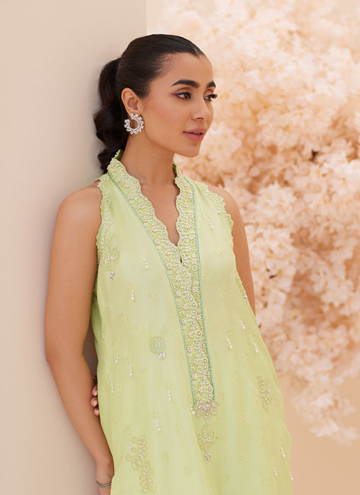 Pia Embroidered Raw Silk Shirt And Dupatta