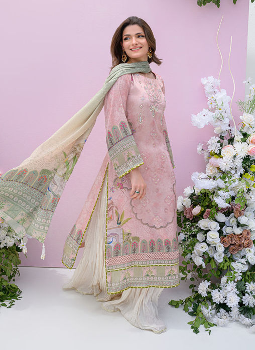 Petaluxe - Shirt and Dupatta