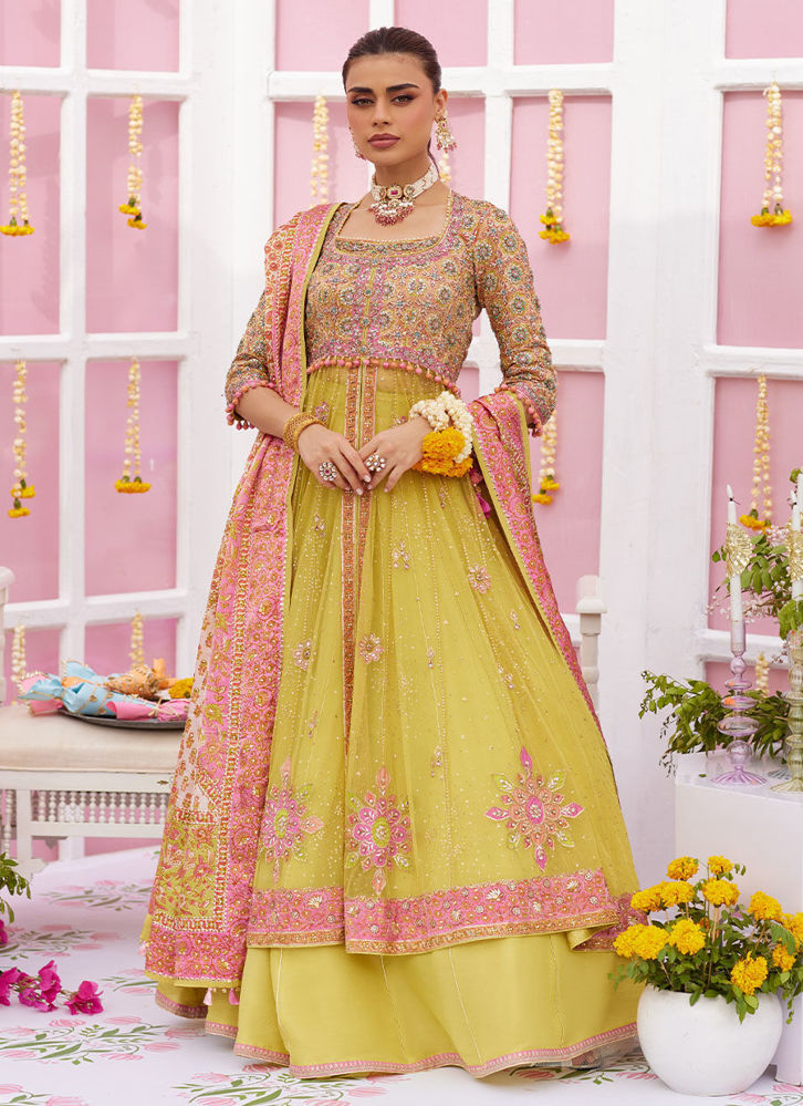 Picture of Nura Kiwi Kalidaar