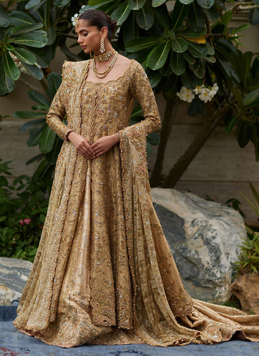 Parizad Gold Bridal