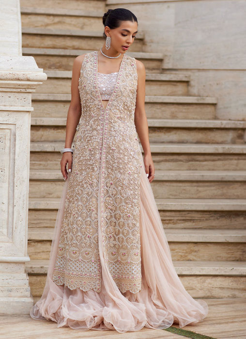 Gulzarey Organza Jacket