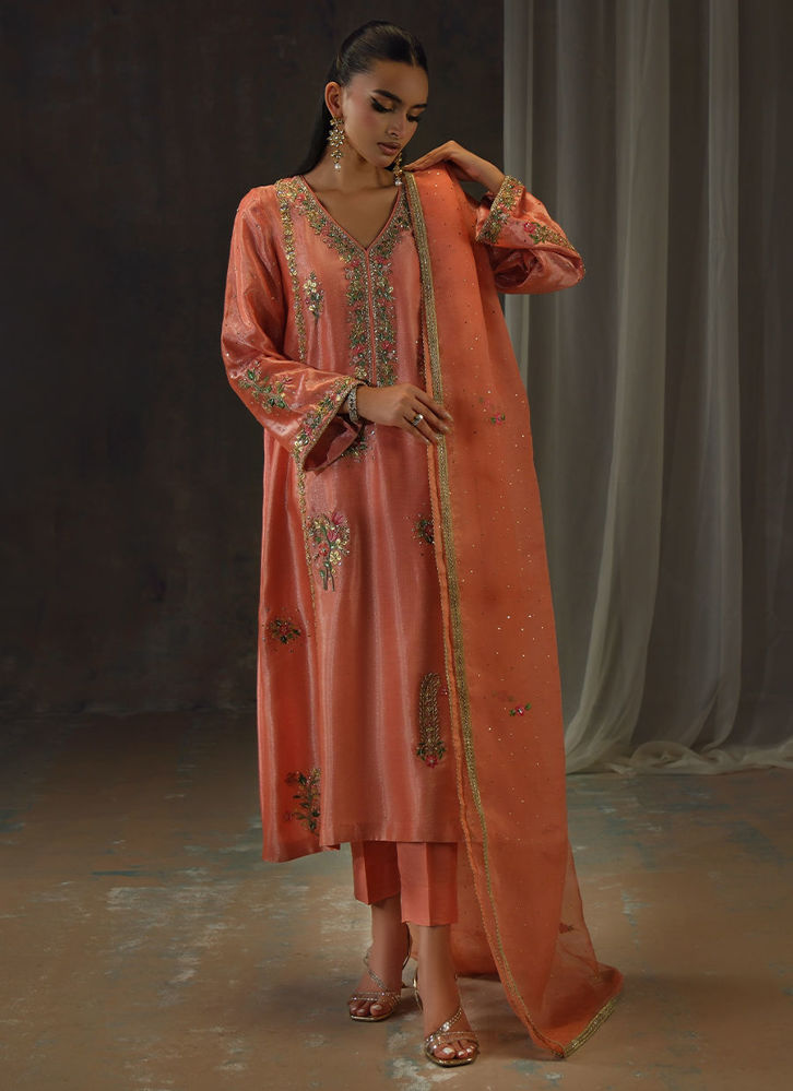 Picture of Peach Zari Long Full Set