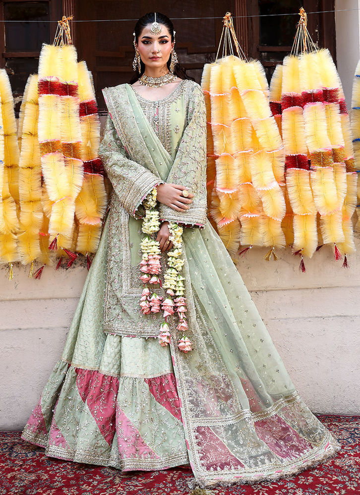 Picture of Sahib Jan A