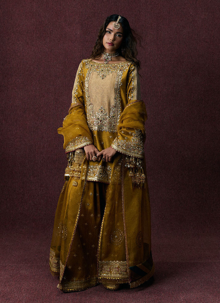 Picture of Bahar Begum