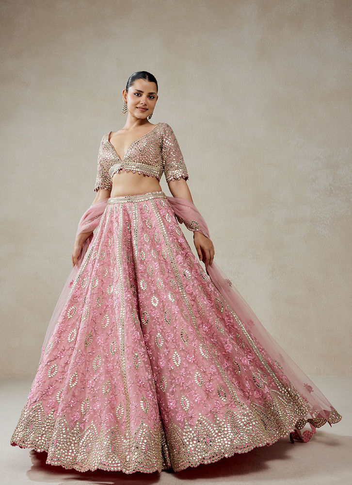 Picture of Pink Organza Mirror Work With Multiresham Lehenga Set