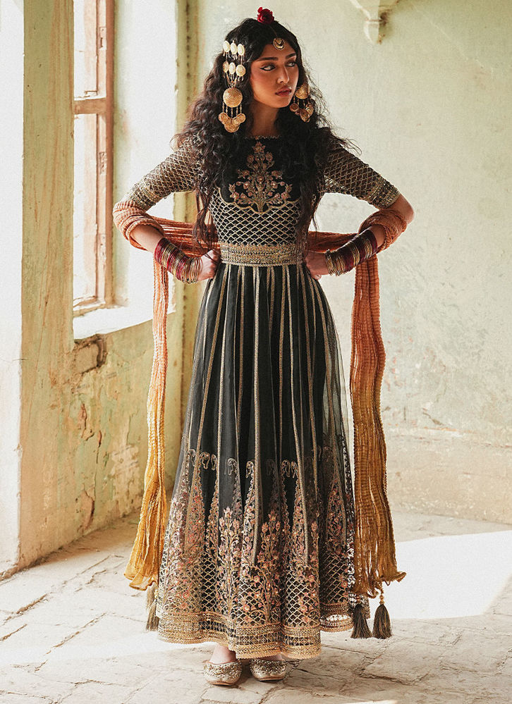 Picture of Ronak-e-Chaman