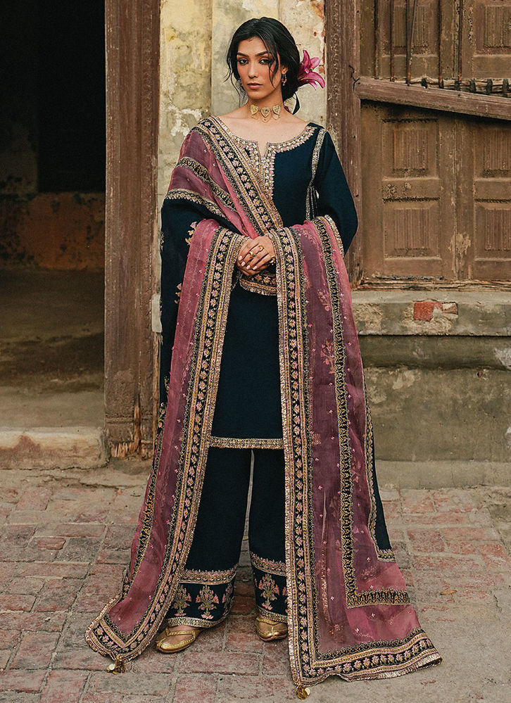 Picture of Neel-e-Ronak