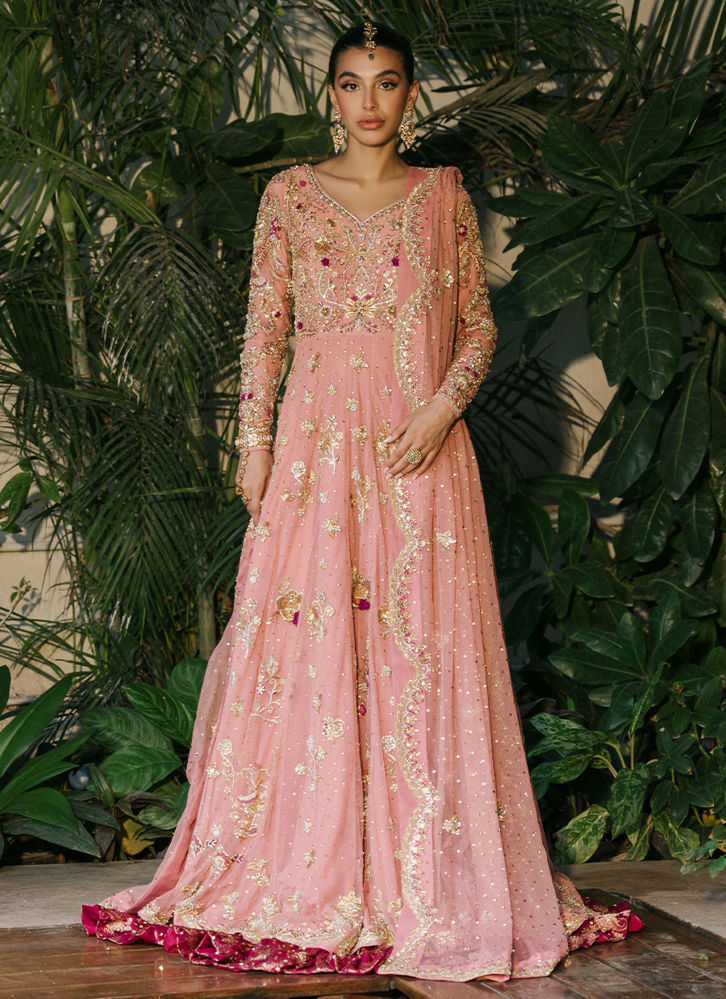 Picture of Anshika