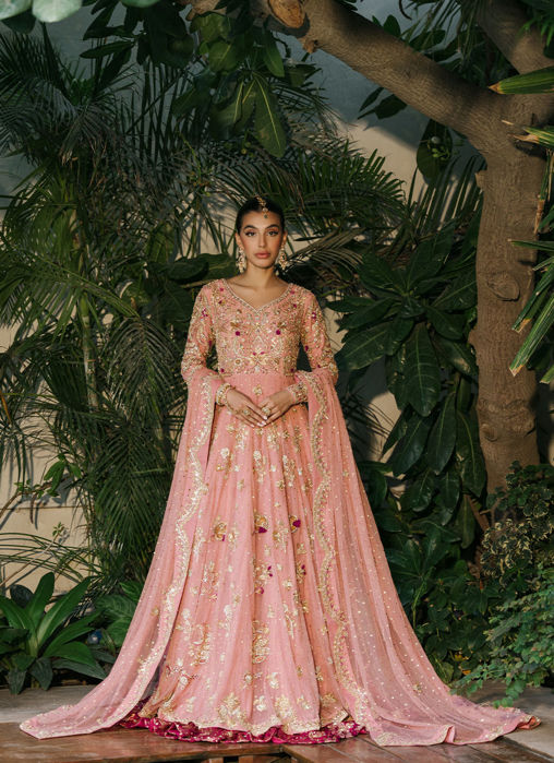 Anshika