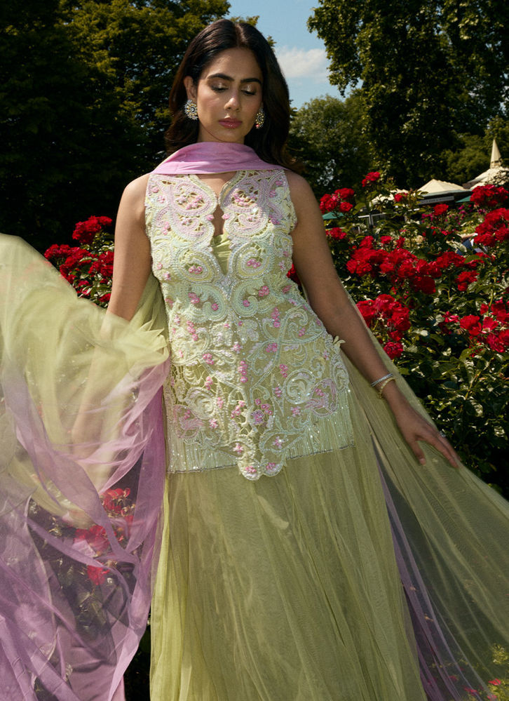 Picture of Danica Short Shirt With Lehenga
