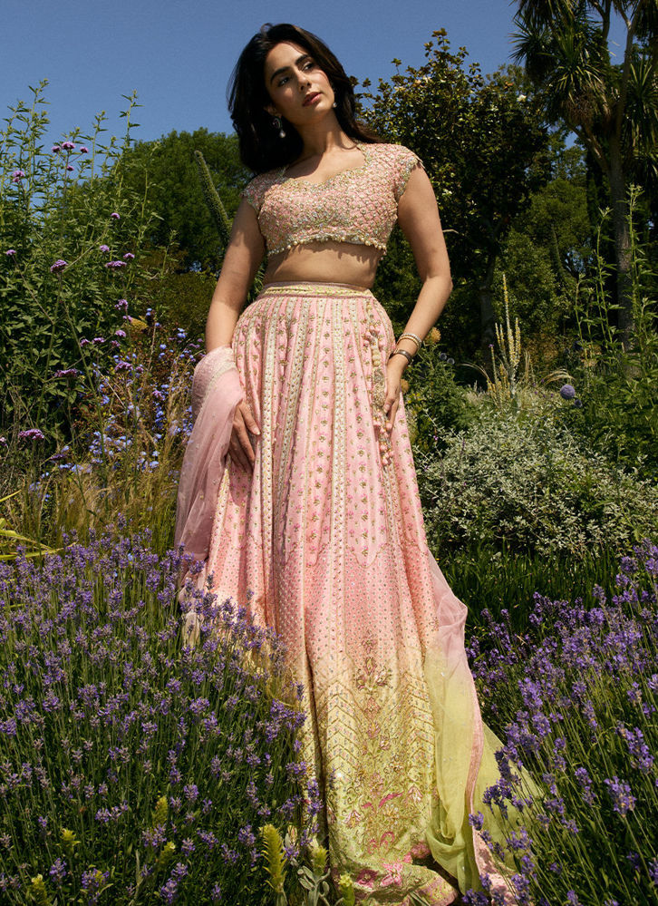 Picture of Nola Lehenga Choli