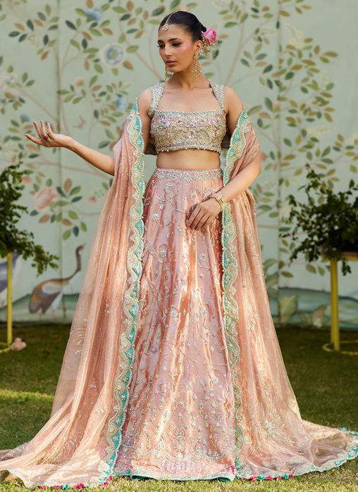 Leny Lehenga Choli