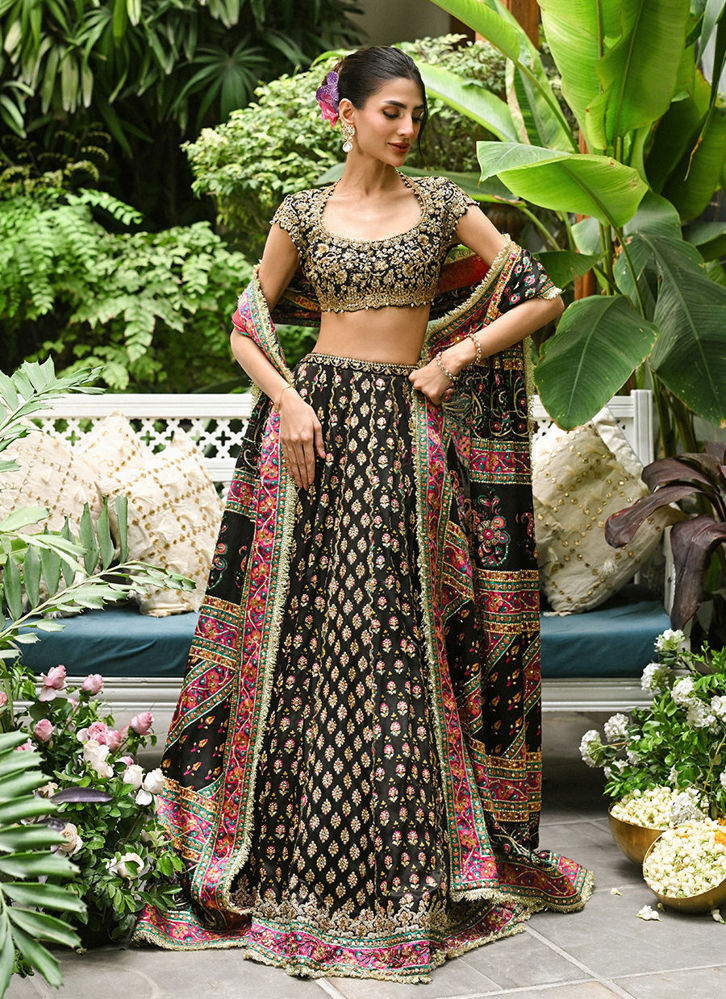 Picture of Alanara Black Lehnga Choli