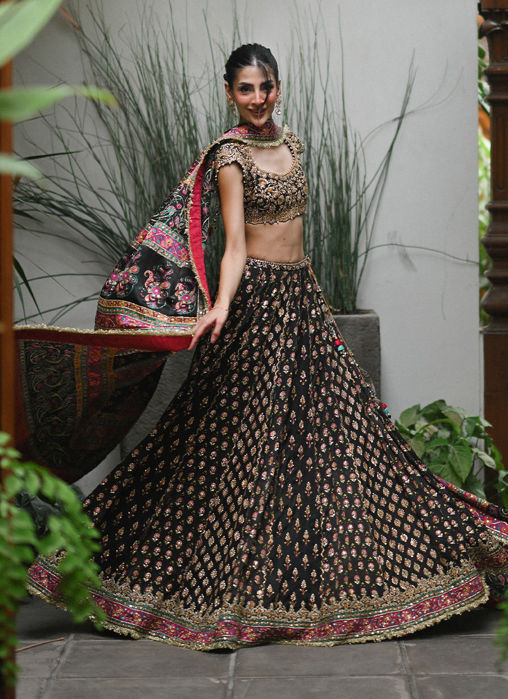 Alanara Black Lehnga Choli