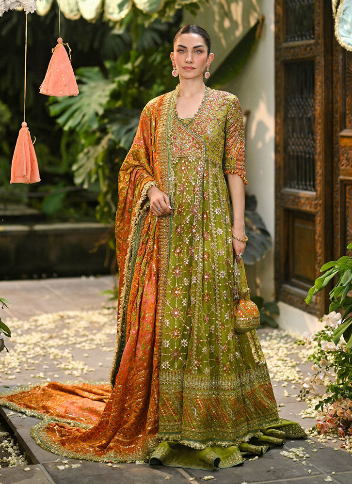 Picture of Sabina Olive Green Kalidaar